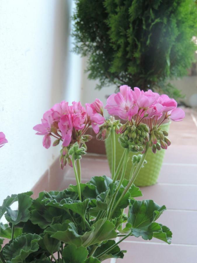 Casa Brisa Marina Apartment